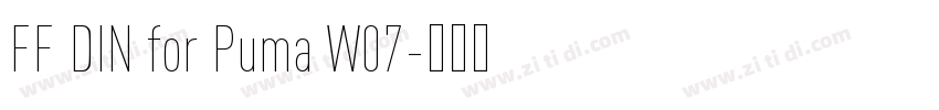 FF DIN for Puma W07字体转换